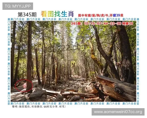 最新澳门财神官网下载入口大全，快速下载安装指南及使用教程